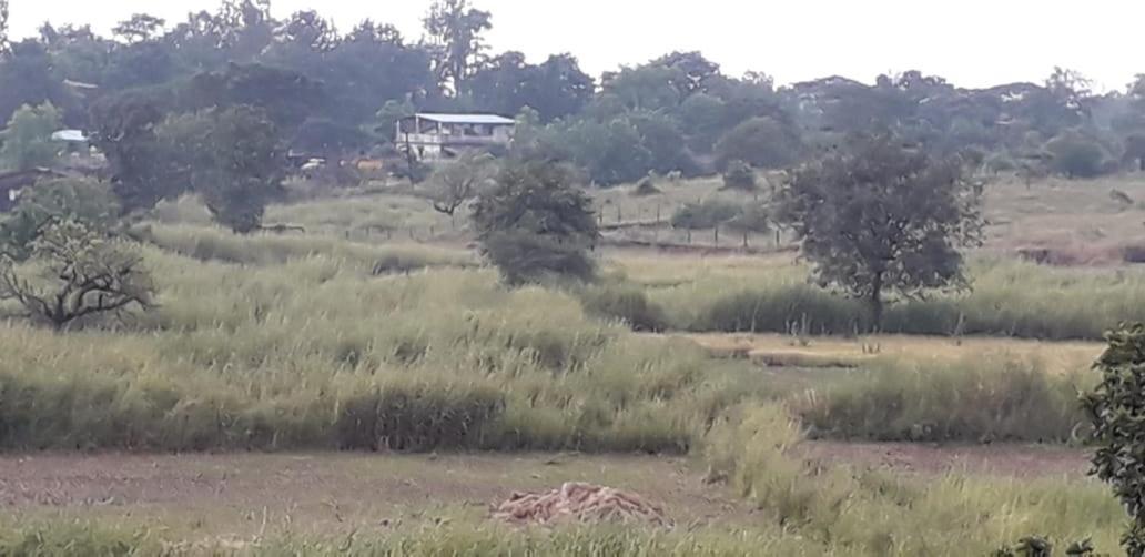 Karjat Mountain Villa Luaran gambar